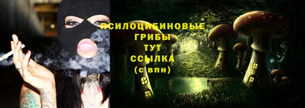 гидропоника Алзамай
