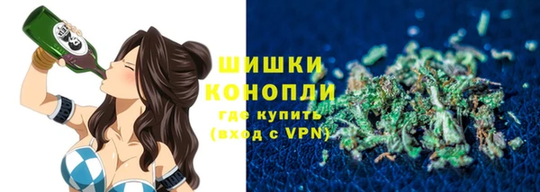 гидропоника Алзамай